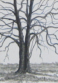 ACEO Art Card - Beach tree
