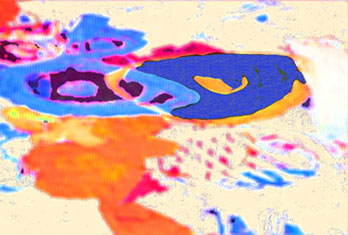 Colour Consequence - Experimenting with colour
