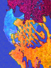 Colour Experiance - Experimenting with colour