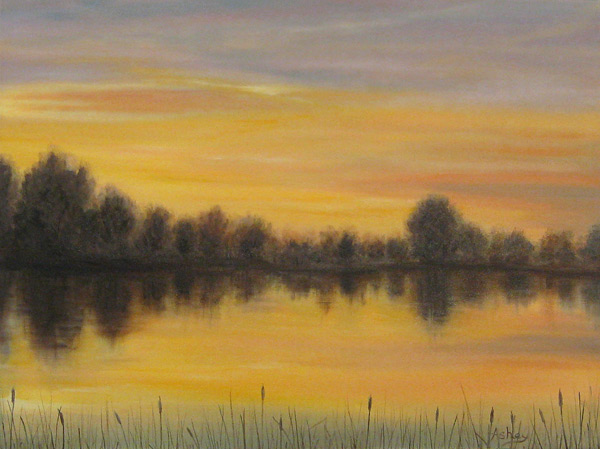 A Spring Morning at St Ives Lakes