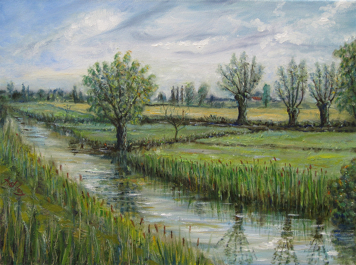 Norfolk Fens