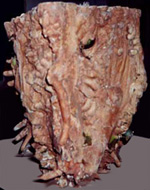 Night Out - cast in plaster