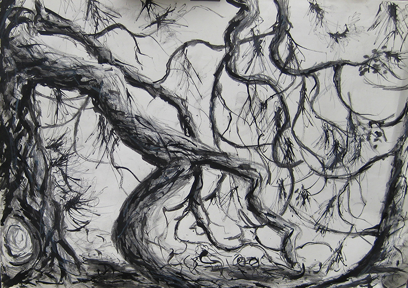 Tree study - A1