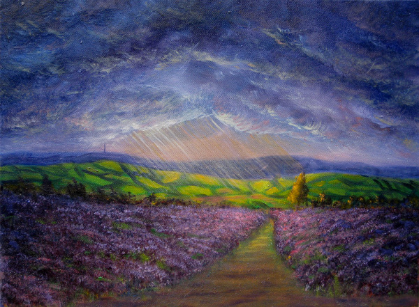 Exmoor Storm